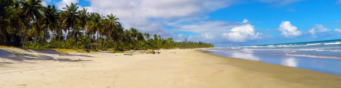 Beautiful beaches from BRAZIL