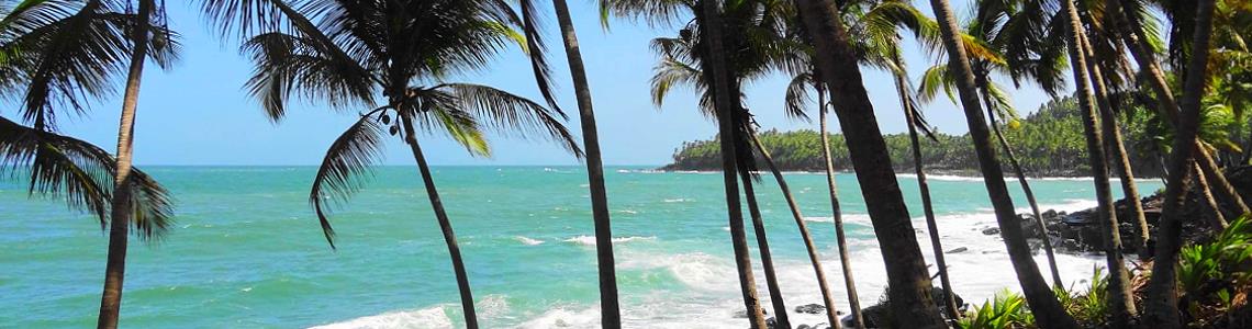 Beautiful beaches from FRENCH GUYANA