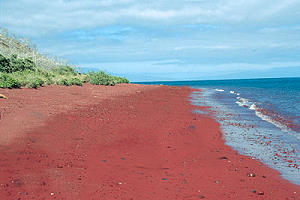 Galapagos Red Sand Beach