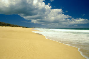 Beach with yellow sand of Brazil