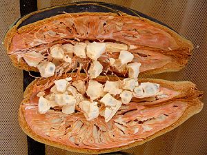 Baobab fruit