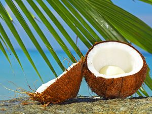 Coconut