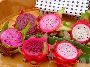 Dragon fruit