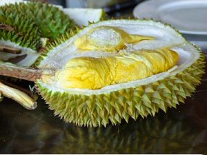 Durians