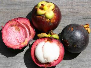 Mangosteens