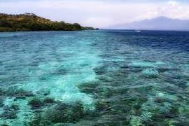 Maldives - A channel with coral reef at 20 meters, the dream!