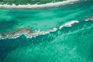 Waves broken by the barrier reef.