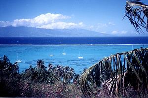 Barrier reef on closed lagoon.