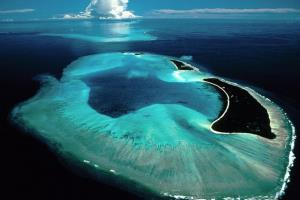The atolls are in the Maldives and in the Tuamotu.
