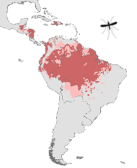 World Map of Malaria and Dengue in the Caribbean and the Americas