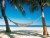 BAHAMAS, Bahamas - hammock between 2 coconut trees, the dream!.