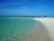 BAHAMAS, Bahamas - Great Exuma - beach cocoplum.