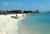 ARUBA, Palm Beach - beach palm beach.