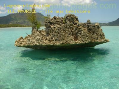 Benitiers island, MAURITIUS Beach