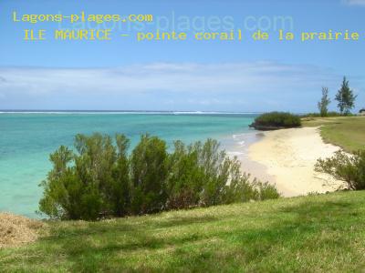 Pointe coral of the south prairie, MAURITIUS Beach