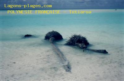 Tetiaroa, FRENCH POLYNESIA Beach