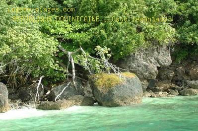 Cayo levantado, DOMINICAN REPUBLIC Beach