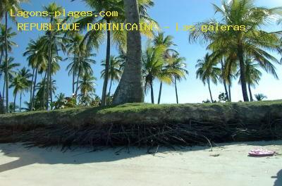 Las Galeras, DOMINICAN REPUBLIC Beach