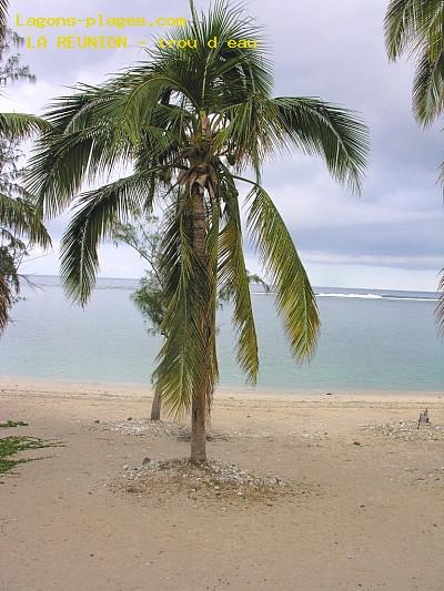 Hole of water, REUNION ISLAND Beach