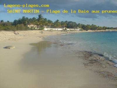 Beach of the Bay with plums, SAINT MARTIN Beach