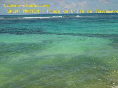 Beach of the island of Tintamare, SAINT MARTIN Beach