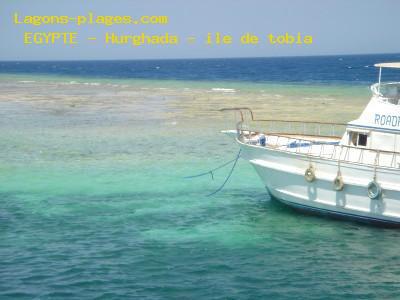 Hurghada - tobia island, EGYPT Beach