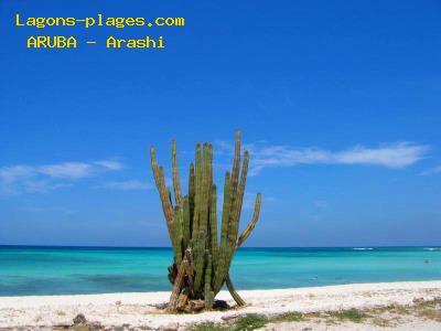 Arashi Beach, ARUBA Beach