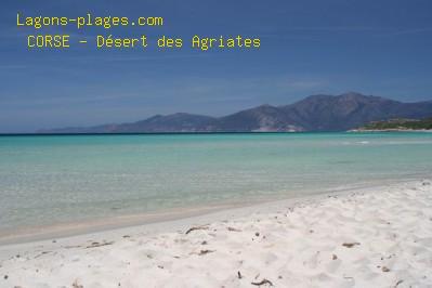 Beach of saleccia, CORSICA Beach