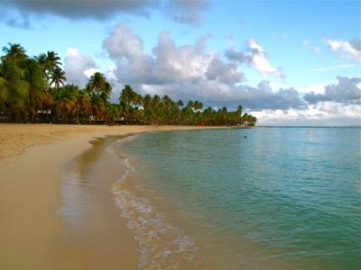 Beach caribbean, GUADELOUPE Beach