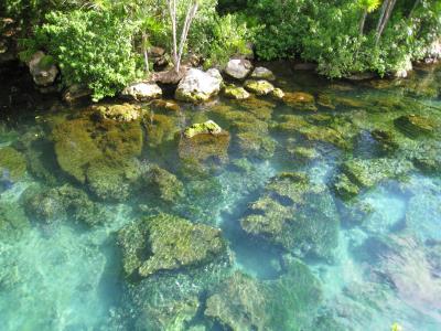 Xel ha - quintana roo - Mayan riviera, MEXICO Beach