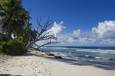 Beach Grosse roche La Digue, SEYCHELLES ISLANDS Beach