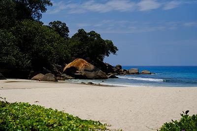 SEYCHELLES ISLANDS, ANSE LOUISE MAHE