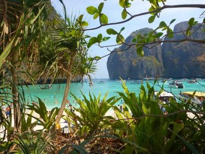 Maya Bay Koh Phi Phi Leh, THAILAND Beach