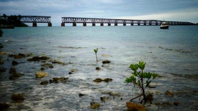 State Park of Florida, USA Beach