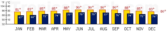 Cancun, MEXICO temperatures. A minimum temperature of 81F C is recommended for the beach!