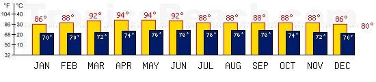 Cebu, PHILIPPINES temperatures. A minimum temperature of 81F C is recommended for the beach!