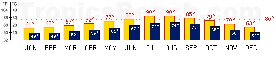 Djerba, TUNISIA temperatures. A minimum temperature of 81F C is recommended for the beach!