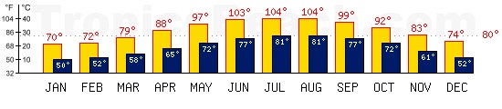 Eilat, ISRAEL temperatures. A minimum temperature of 81F C is recommended for the beach!