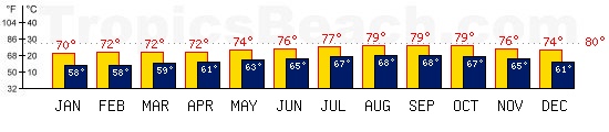 Fuerteventura, CANARY ISLANDS temperatures. A minimum temperature of 81F C is recommended for the beach!