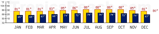 Hawaii, USA temperatures. A minimum temperature of 81F C is recommended for the beach!