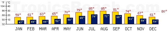 Ibiza, SPAIN temperatures. A minimum temperature of 81F C is recommended for the beach!