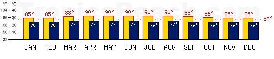 Koh Samui, THAILAND temperatures. A minimum temperature of 81F C is recommended for the beach!