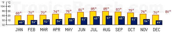 Los Angeles, USA temperatures. A minimum temperature of 81F C is recommended for the beach!