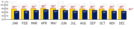 Male, MALDIVES temperatures. A minimum temperature of 81°F C is recommended for the beach!