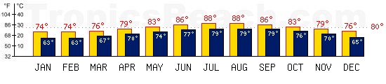 Miami, USA temperatures. A minimum temperature of 81F C is recommended for the beach!