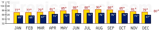 Nassau, BAHAMAS temperatures. A minimum temperature of 81F C is recommended for the beach!