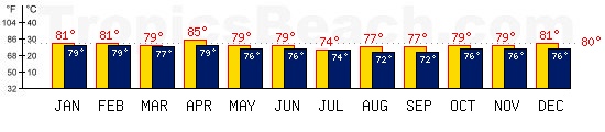 Port Vila, VANUATU temperatures. A minimum temperature of 81F C is recommended for the beach!