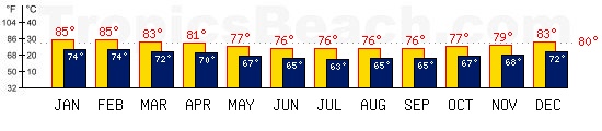 Rio De Janeiro, BRAZIL temperatures. A minimum temperature of 81F C is recommended for the beach!