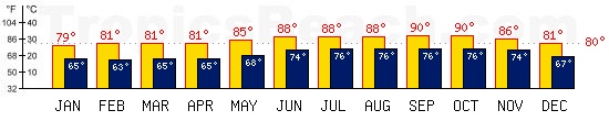 Saly, SENEGAL temperatures. A minimum temperature of 81F C is recommended for the beach!