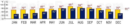 Sharm El Sheikh, EGYPT temperatures. A minimum temperature of 81F C is recommended for the beach!